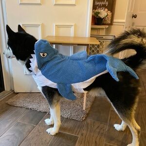 Royal Animals dog shark costume